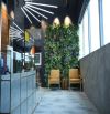 CHO THUÊ TÒA VĂN PHÒNG 2000m2 TRUNG TÂM QUẬN 1 - NGUYỄN ĐÌNH CHIỂU