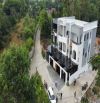 🏡 BÁN HOMESTAY DÒNG TIỀN – VIEW ĐỒI TRIỆU ĐÔ