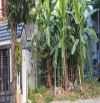 Lô đất mặt tiền đường đào ngọc chua liên chiểu,đt:100m2, giá:3,5tỹ
