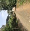 🌈☘️1,1Hecta Đất Rẫy Mặt Tiền Đường Ô VIỆT Ê BAN - Gần 19/5 (77x160m💰11 tỷ)