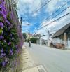 🏡CẦN BÁN NHÀ MẶT TIỀN VẠN HẠNH P8 CŨ