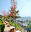 Đất mặt biển Gành Yến Quảng Ngãi ngang 37m, 1.850m2, quy hoạch TMDV, phụ hợp làm du lịch