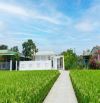 Hàng Vip, Nhà vườn 997 m² đất thổ View Sông cực đẹp