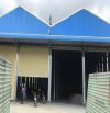 Xưởng gần Sài Gòn 1800m Đường Lớn