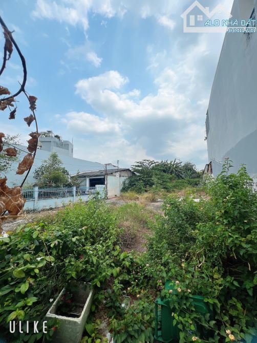 BÁN ĐẤT MẶT TIỀN MAN THIỆN GẦN LÊ VĂN VIỆT | 498M² (12×42) | 40 TỶ | ĐƯỜNG LỚN KINH DOANH - 2