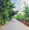 MẶT TIỀN ĐƯỜNG NGUYỄN THỊ HOA - THỊ TRẤN ĐẤT ĐỎ- ĐỐI DIỆN TRƯỜNG TIỂU HỌC VÀ TRUNG HỌC