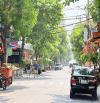 Giảm 2 tỷ! Bán nhanh lô đất Mặt Phố Ngô Thì Sĩ - Kẹp Cống - Lõi phố tây - 102m2
