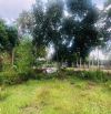 Bán đất mặt tiền kênh xã Nhuận Đức, Củ Chi, 552m², View kênh thoáng mát, giá tốt