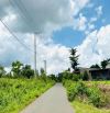 Giá không thể rẻ hơn 750 triệu 1000M2 mặt tiền nhựa  Suối Rao, Châu Đức - Bà Rịa
