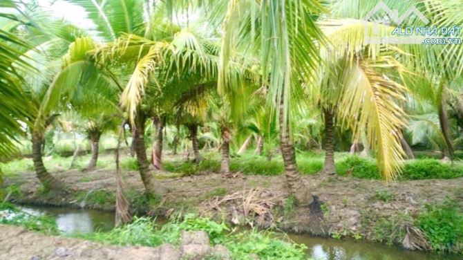 BÁN NHÀ VƯỜN THỦ THỪA LONG AN - 3000M2 - CÁCH SG 17KM - CHẤT MIỆT VƯỜN - CHỈ 6 TỶ - 1