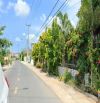 View núi minh đạm 580m ra biển 2km phước hải