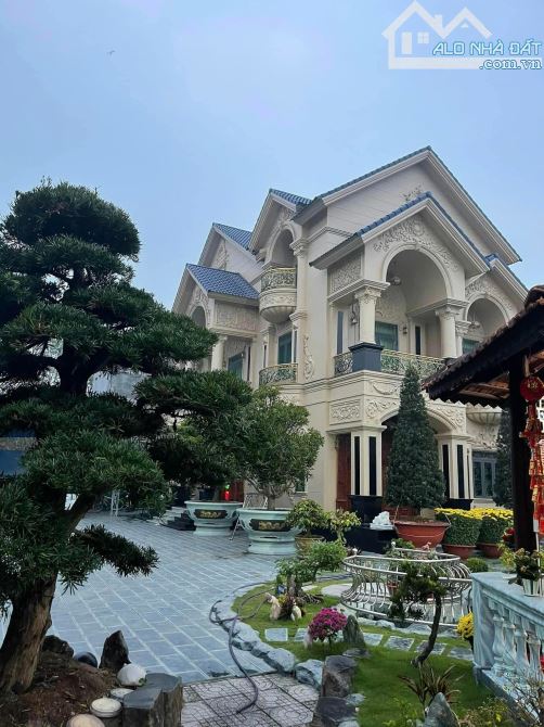 *Bán đất đường Trần Phú, dt 467m2(21m x 21m), đất SXKD Lâu dài.Ngay bến Du Thuyền Sông Hàn