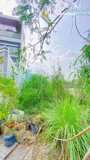 Cho thuê đất 130 m2  khu giảng viên đại học Cần Thơ 5 triệu - 3