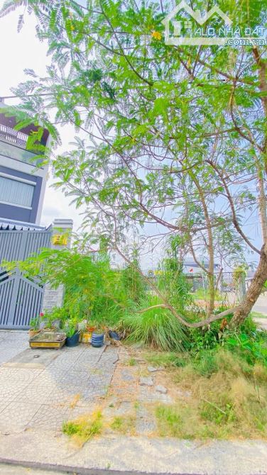 Cho thuê đất 130 m2  khu giảng viên đại học Cần Thơ 5 triệu - 6
