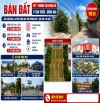 Bán 3 lô đất kp7 phường Tân Phong gần trường THCS Tân Phong, TW2, DT140m, hướng Đông Bắc