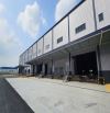Cho Thuê Nhà Xưởng Tổng Khuôn Viên Diện Tích Đất 180.000m2 trong KCN Long An