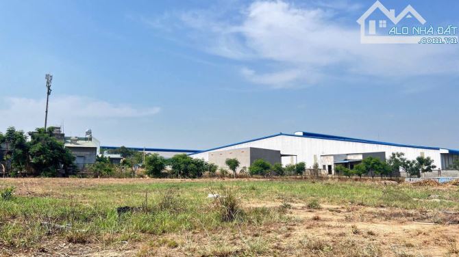 D064 🆘 Chuyển nhượng quỹ đất 1 ha trong KCN thuộc  biên hoà -  đồng nai - 2
