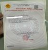 Kẹt tiền bán nhà 2 mặt tiền đường nhanh Lập Định Suối Môn xã Cam Lâm đường ô tô