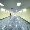 Cho Thuê Tòa Nhà Kim Giang – Thanh Xuân, 200m² x 7 Tầng + Hầm, Mặt Tiền 7m,