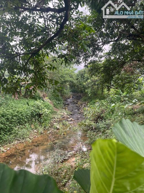 Đất Nghỉ Dưỡng Đẳng Cấp Tinh Hoa.S = 2.6ha. có 1000m2 Thổ cư. Phổ Yên Thái Nguyên 15tỷ