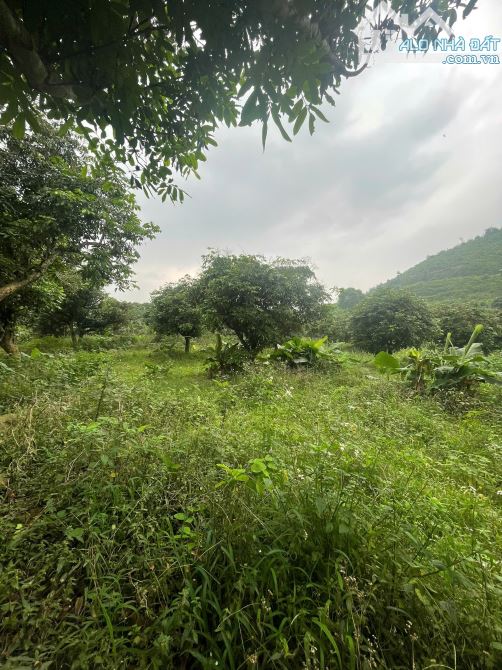 Đất Nghỉ Dưỡng Đẳng Cấp Tinh Hoa.S = 2.6ha. có 1000m2 Thổ cư. Phổ Yên Thái Nguyên 15tỷ - 1