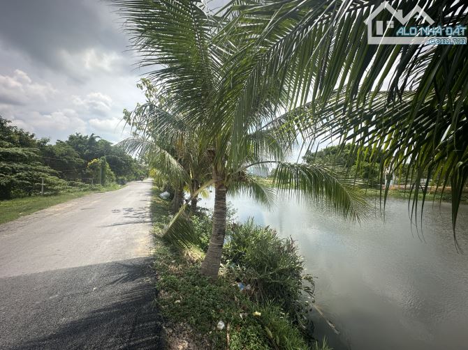 HÀNG HIẾM ! DT 1.531M ( 23 X70) SỔ SẴN - VIEW SÔNG - ĐƯỜNG NHỰA 5M - CỔNG CHÀO BÌNH DƯƠNG - 2