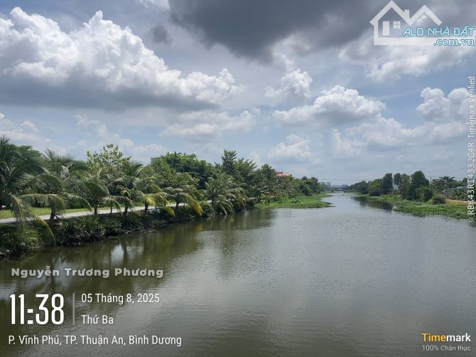 HÀNG HIẾM ! DT 1.531M ( 23 X70) SỔ SẴN - VIEW SÔNG - ĐƯỜNG NHỰA 5M - CỔNG CHÀO BÌNH DƯƠNG - 3