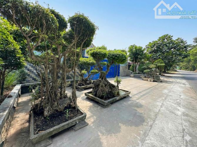 🏭 BÁN NHÀ XƯỞNG ĐƯỜNG THANH NIÊN, ĐÃ LÊN THỔ CƯ, 2 MẶT TIỀN, XÃ PHẠM VĂN HAI - 2