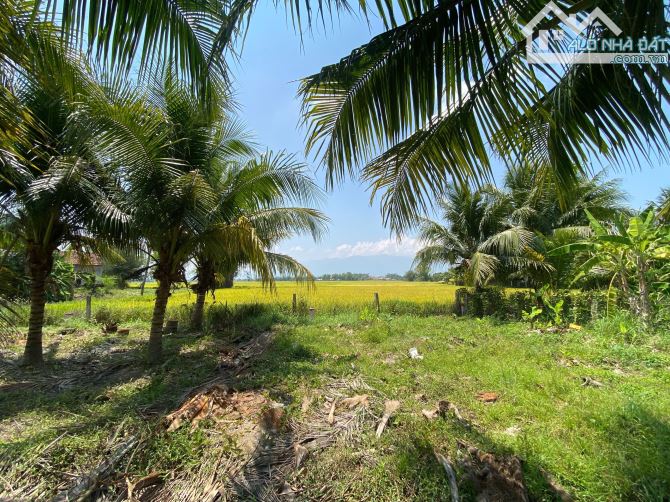 💥Cụm 8 lô Full Thổ Cư ở Hoà Trí (Ninh Thân) - Khu dân cư, đường bê tông chỉ 280 triệu💥 - 4