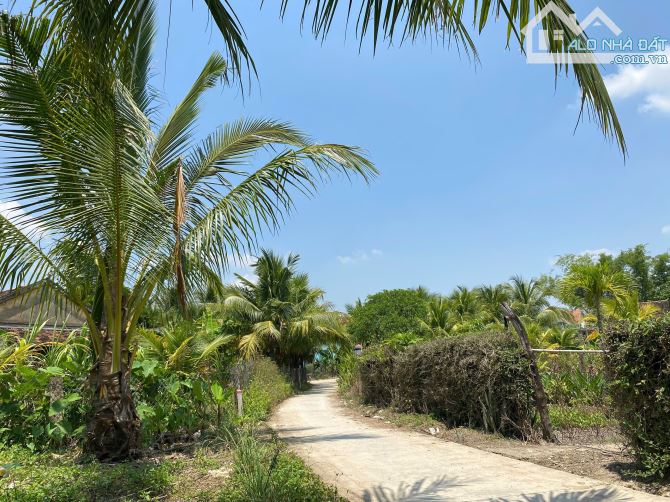 💥Cụm 8 lô Full Thổ Cư ở Hoà Trí (Ninh Thân) - Khu dân cư, đường bê tông chỉ 280 triệu💥 - 5