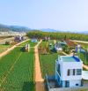 GIÁ F0 CHỈ 619TR ĐẤT ĐƯỜNG NHÁNH NGUYỄN CHÍ THANH ĐƠN DƯƠNG-LÂM ĐỒNG