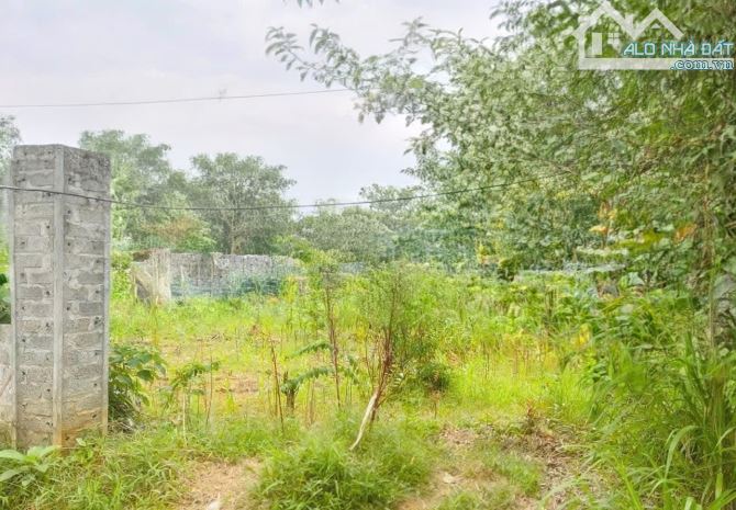 Bán 529m2 đất Yên Bài, Vân Hòa, Ba Vì, TT xã, đường to và thông, nở hậu, 5.98tỷ - 2