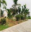 Gia đình bán 522 m² đất ruộng. Diện tích 522m² đã tách 2 mảnh gồm (248,4m và 273,6m)