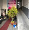 CHO THUÊ PHÒNG TRỌ, MẶT TIỀN NGUYỄN CHÍ THANH QUẬN 5, XUẤT HÓA ĐƠN GTGT CHO KHÁCH