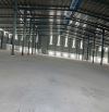 Cho thuê nhà xưởng đa diện tích, CCN Kiến Thành Cần Đước, 2000m2, 2850m2, 3500m2, 4700m2