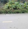 Bán đất mặt đường liên thôn Pháp Cổ, Lại Xuân, Thủy Nguyên, Hải Phòng – 63m2 – giá 5xx