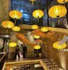 SIÊU HIẾM!! 145M2 - 12M MẶT TIỀN - NHÀ HÀNG 5 SAO MẶT PHỐ VIP ĐÀO TẤN - Ô TÔ TRÁNH K.DOANH
