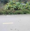 mặt đường liên thôn Pháp Cổ, Lại Xuân, Thủy Nguyên