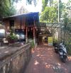 LÊ VĂN LƯƠNG Ngang  20M, BIỆT THỰ VƯỜN 500M², HẺM XE HƠI 8M, CHO PHÉP XÂY CAO TẦNG, ,