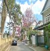 VILLA NGHỈ DƯỠNG CÔ GIANG ĐÀ LẠT MỘT TRONG NHỮNG CUNG ĐƯỜNG XỊN NHẤT THÀNH PHỐ 21TỶ