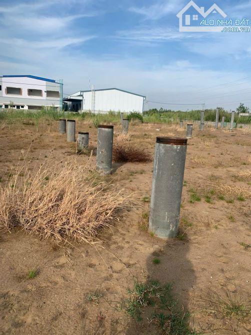 BÁN ĐẤT KCN HIỆP PHƯỚC ĐƯỜNG 19A NGAY CẠNH CTY BÁNH BAO THỌ PHÁT - 1