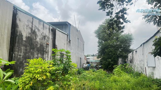 D028 🆘Bán gấp lô đất 343m2 Ngang 9m. Tại Trung Tâm Phường Tân Biên - GX Hà Phát . ------ - 1