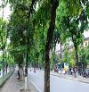 Bán nhà Ba Đình, mặt phố KIm mã Vị trí trung tâm, đón đầu quy hoạch tàu điện ngầm,