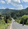 ✨ Đất ven Đà Lạt, cách trung tâm Đà Lạt 30Km, sân bay Liên Khương 22Km - 619 TRIỆU/ 200M2