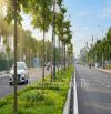 Bán Gấp đất mặt phố Hồng Tiến Long Biên 250m2 MT 12m
