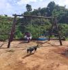 Ngộp cần thanh lí đất Bảo lộc 10572m2-  Ngân hàng định giá 19 tỷ Bán 18 tỷ