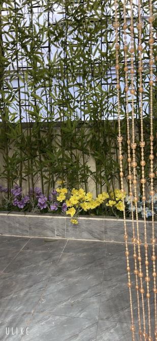 BÁN TẬP THỂ ĐÀO TẤN BA ĐÌNH 5 TỶ 100M2 FULL NỘI THẤT 2 MẶT THOÁNG 3PN 2WC KHÉP KÍN. — ảnh 4