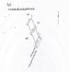📢 2 LÔ ĐẤT KIỆT Ô TÔ AN DƯƠNG VƯƠNG – GẦN MẶT TIỀN – VỊ TRÍ ĐẸP ————————————