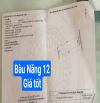 Đường 5m5 Bàu Năng 12 Cạnh Hoàng Thị Loan. S= 95m2 ngang 5m hướng Đông. Giá: 5.35tỷ