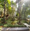 BIỆT THỰ VƯỜN MAI ECOPARK HƯNG YÊN 430m MẶT TIỀN 28m GIÁ 65 TỶ
